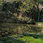 Del Corral