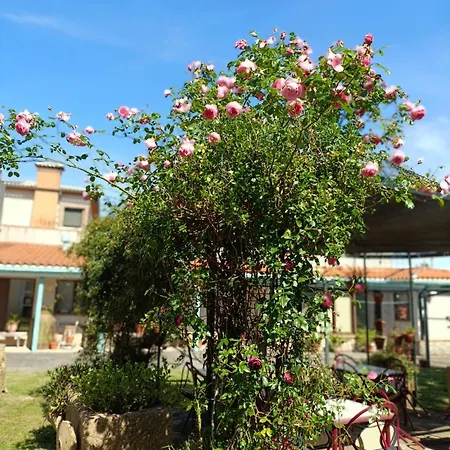 Apartment Del Corral