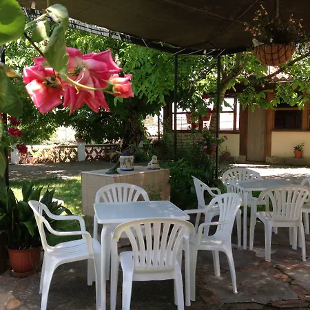 Del Corral * Malpartida De Plasencia