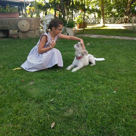 Del Corral *