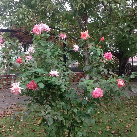 Del Corral Apartment *