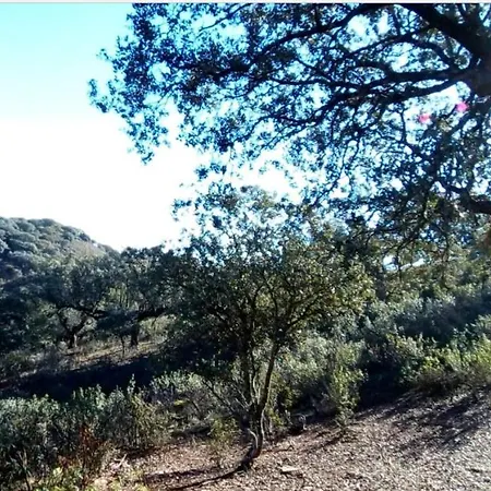 Del Corral