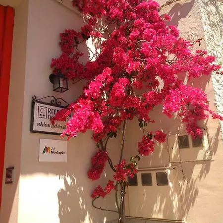 Del Corral Malpartida De Plasencia