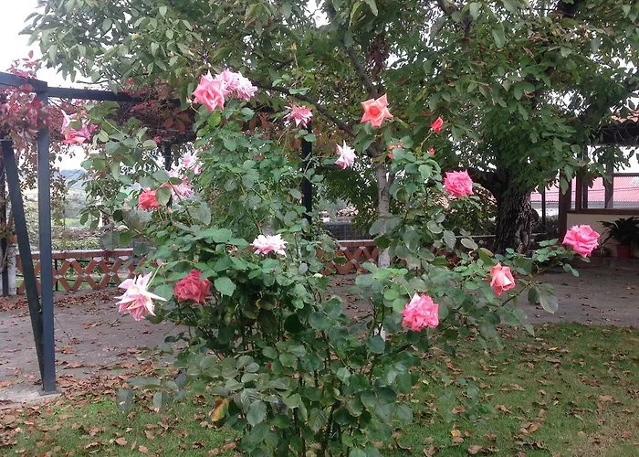 Del Corral Apartamento *