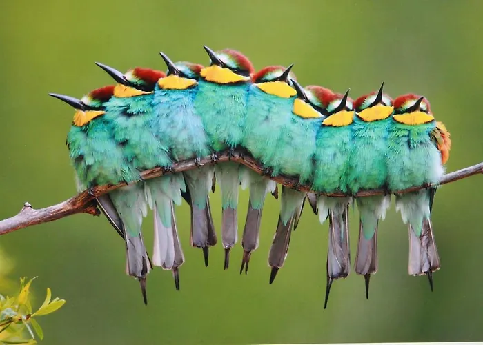 Apartamento Del Corral *